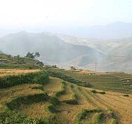 hoangsuphi_vietskysupport